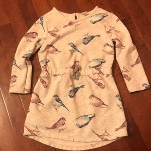 Gray tunic with Birds on it